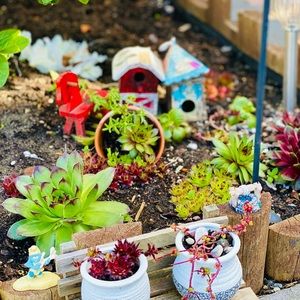 Meet your Posher, Joey